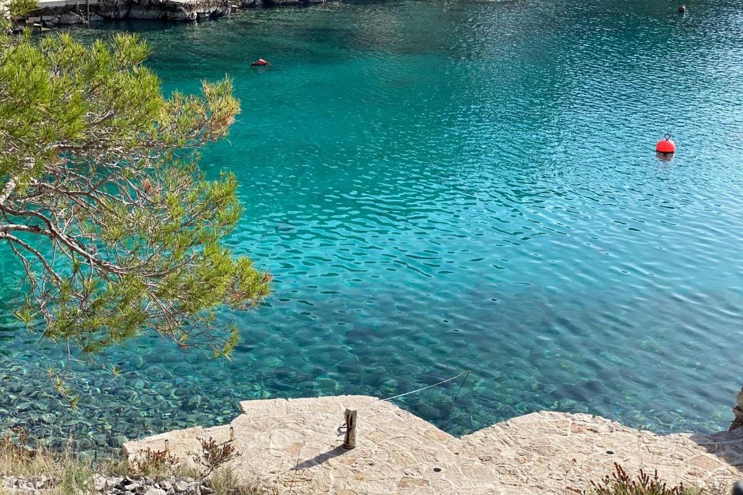 Photo of Others in Milna (Brac)