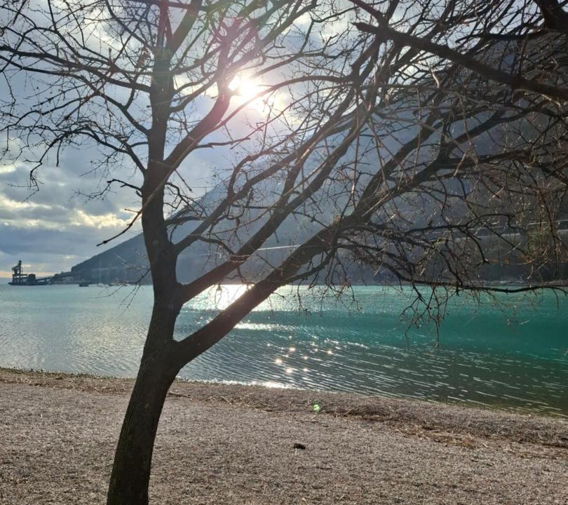 Photo of Others in Plomin