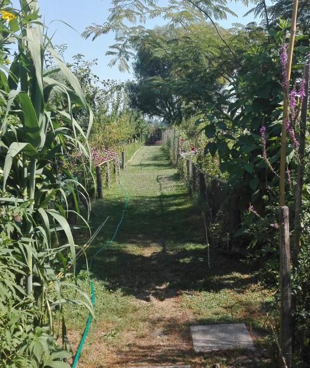 Photo of Others in Bilje