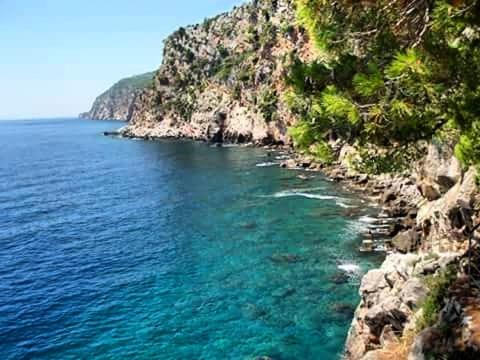 Photo of Others in Konavle