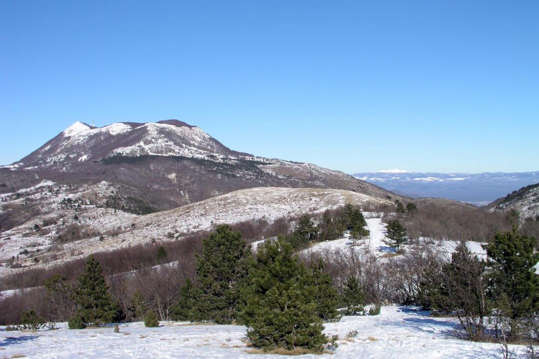 Photo of Others in Vranja
