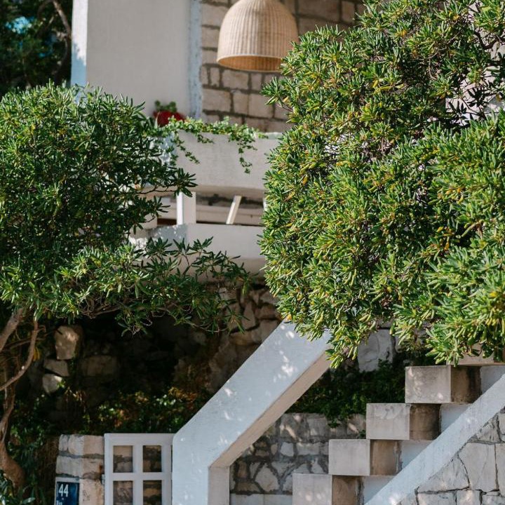 Photo of Others in Povlja