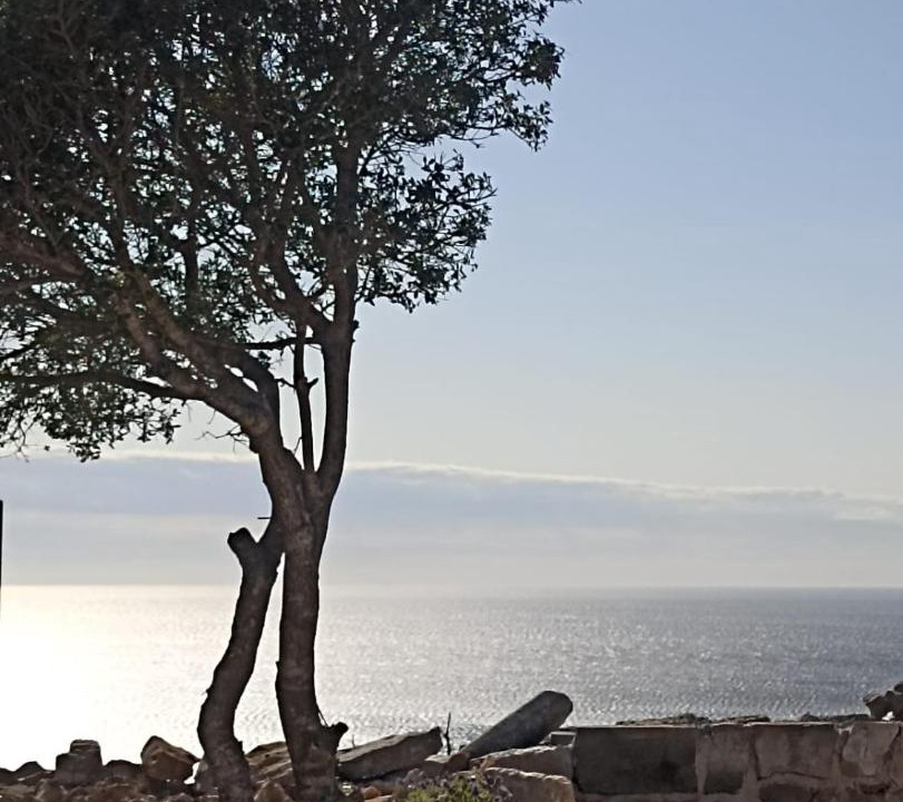 Photo of Others in Veli Losinj