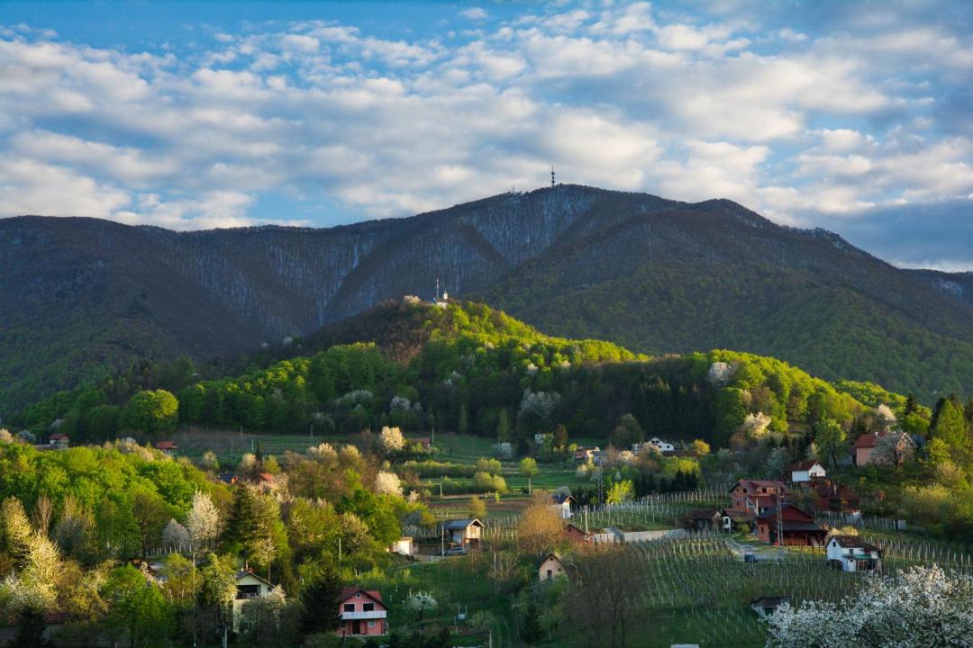 Photo of Others in Ivanec