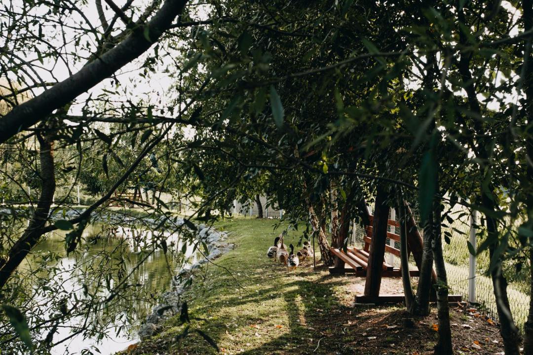Photo of Others in Velika Liduna
