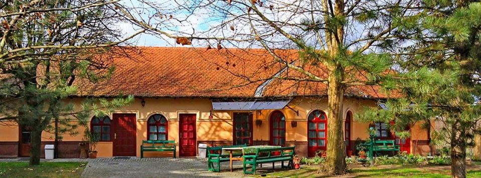 Photo of Others in Palic