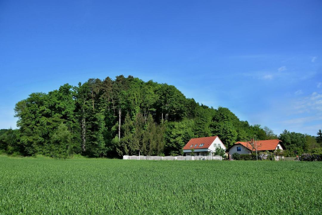 Photo of Others in Spodnja Polskava