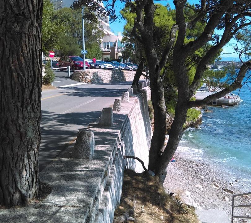 Photo of Others in Selce