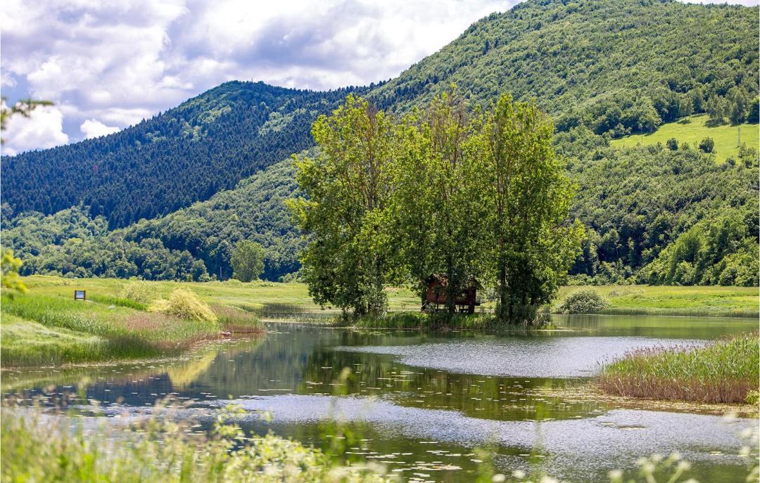 Photo of Others in Kuterevo