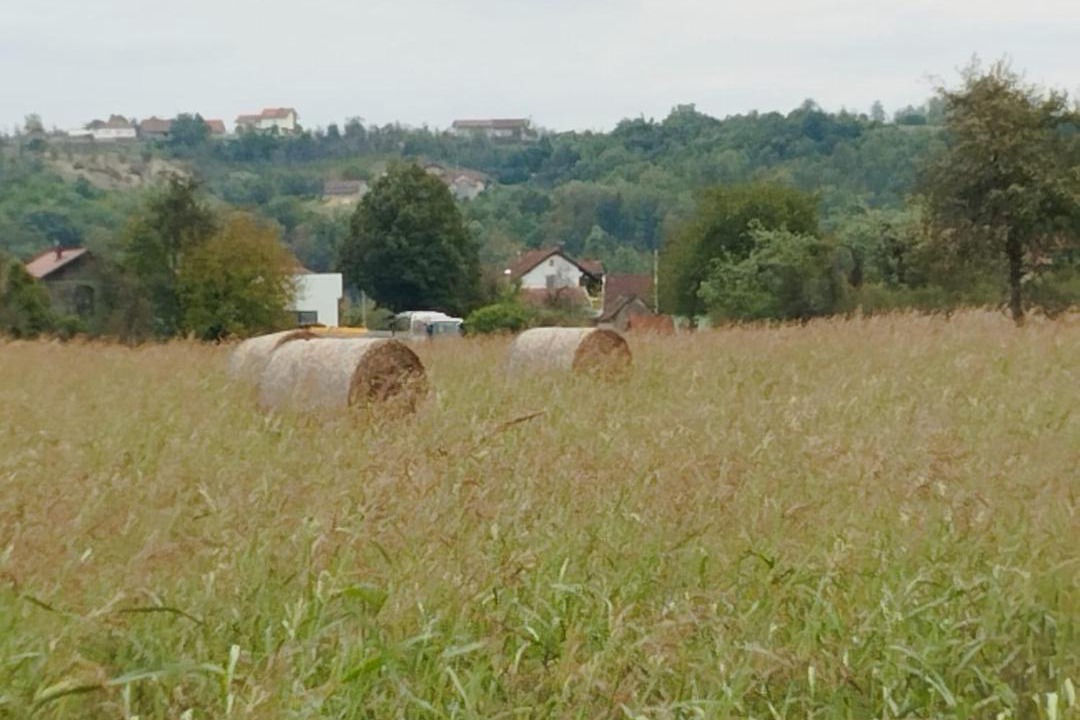 Photo of Others in Laktasi