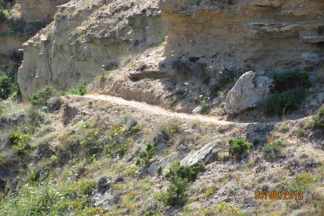 Photo of Others in Bosana