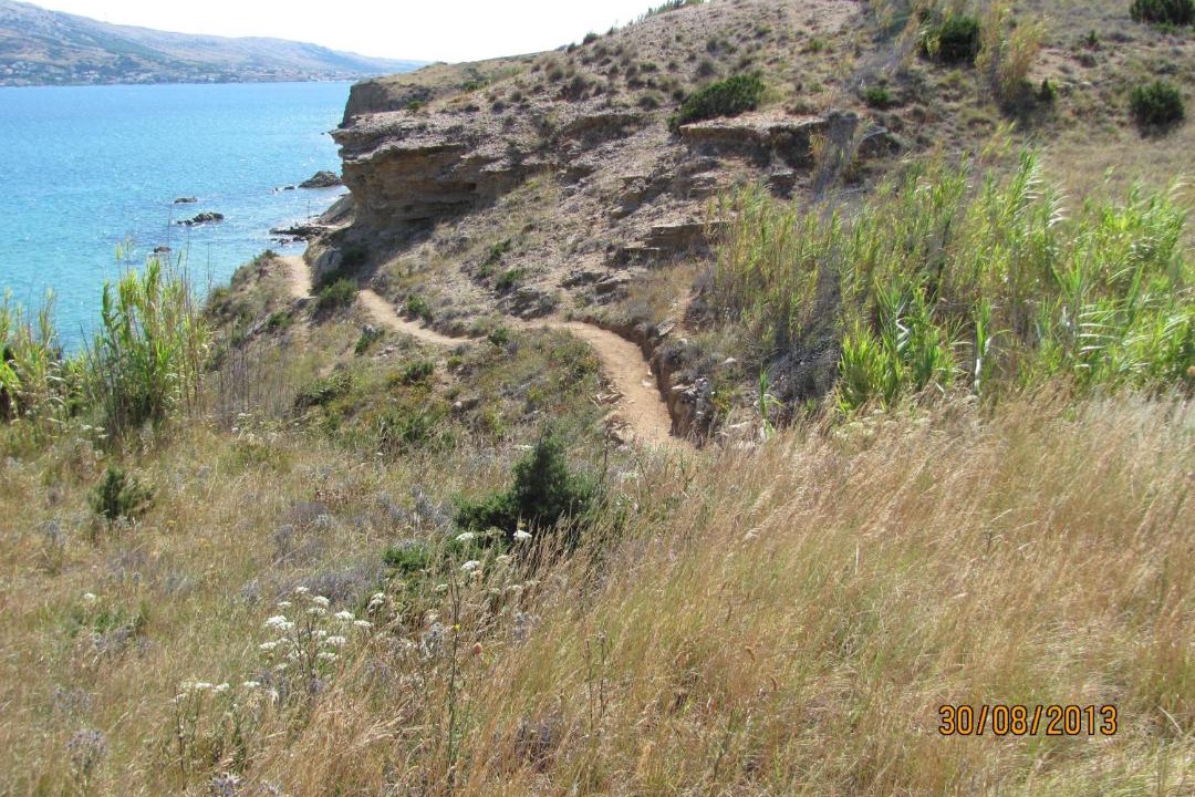 Photo of Others in Bosana