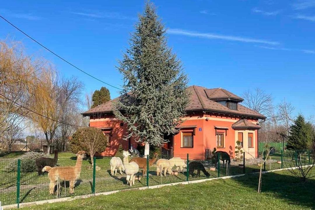 Photo of Others in Andrijasevci