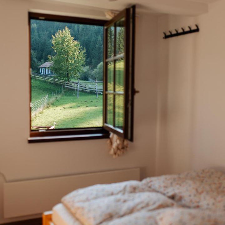 Photo of Others in Valea Boros