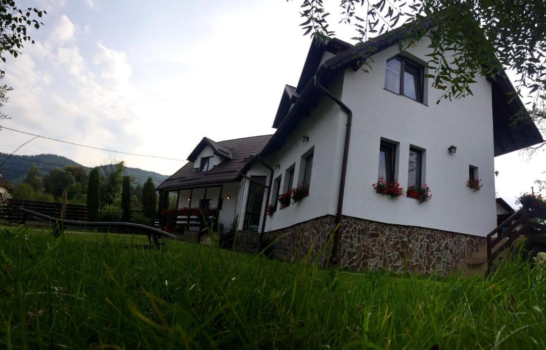 Photo of Buildings in Bran