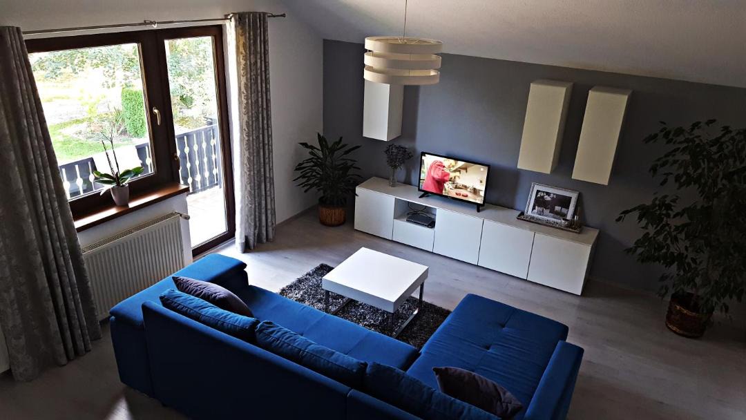 Photo of Livingroom in Irinovac