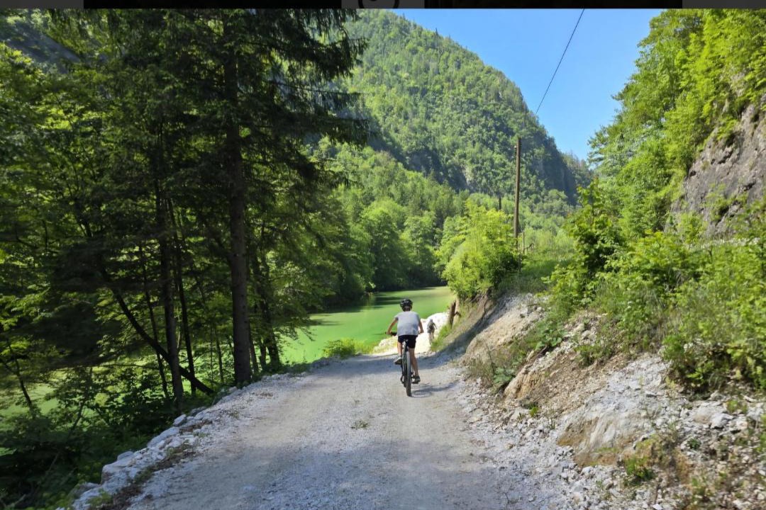 Photo of Others in Bohinj