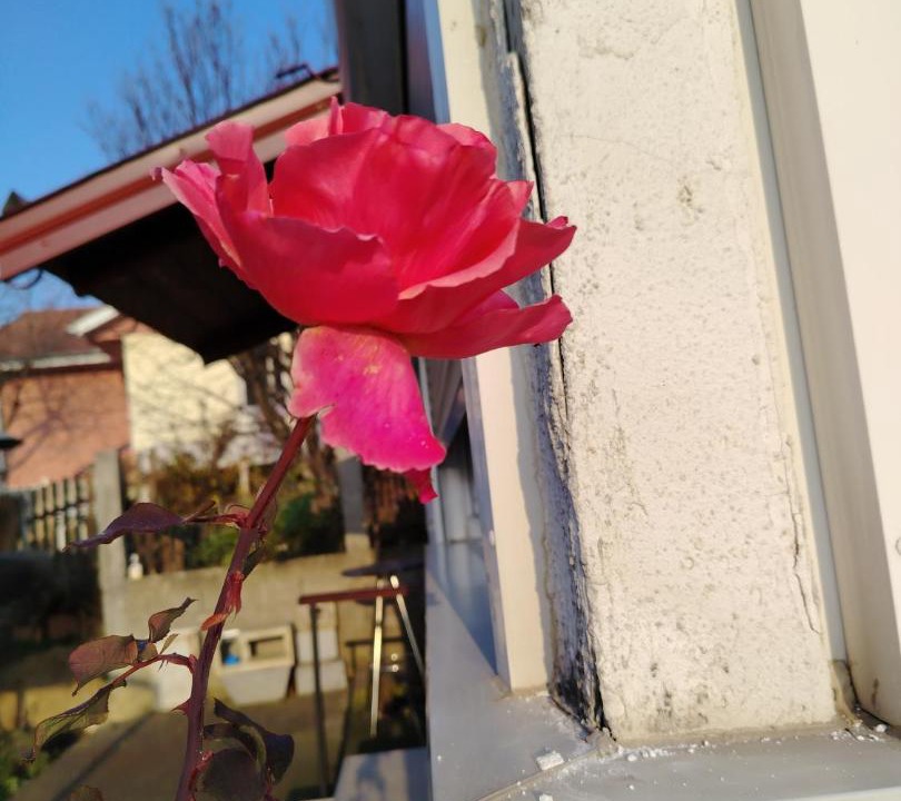 Photo of Others in Rakovica