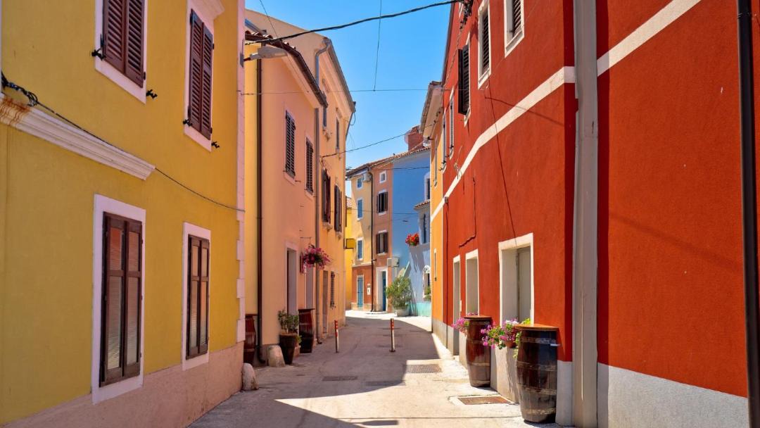 Photo of Others in Novigrad