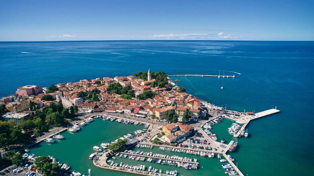 Photo of Others in Novigrad