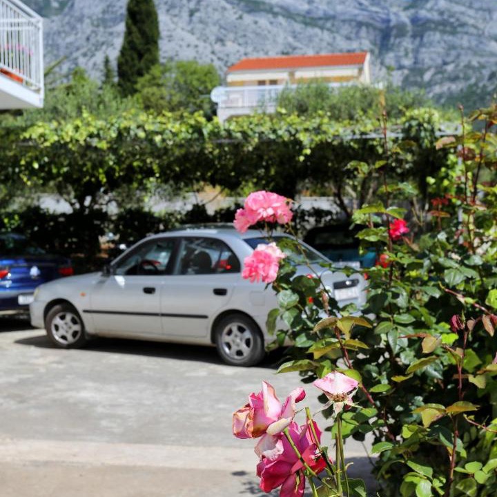 Photo of Others in Orebic