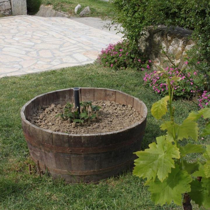 Photo of Outdoor in Ljubac