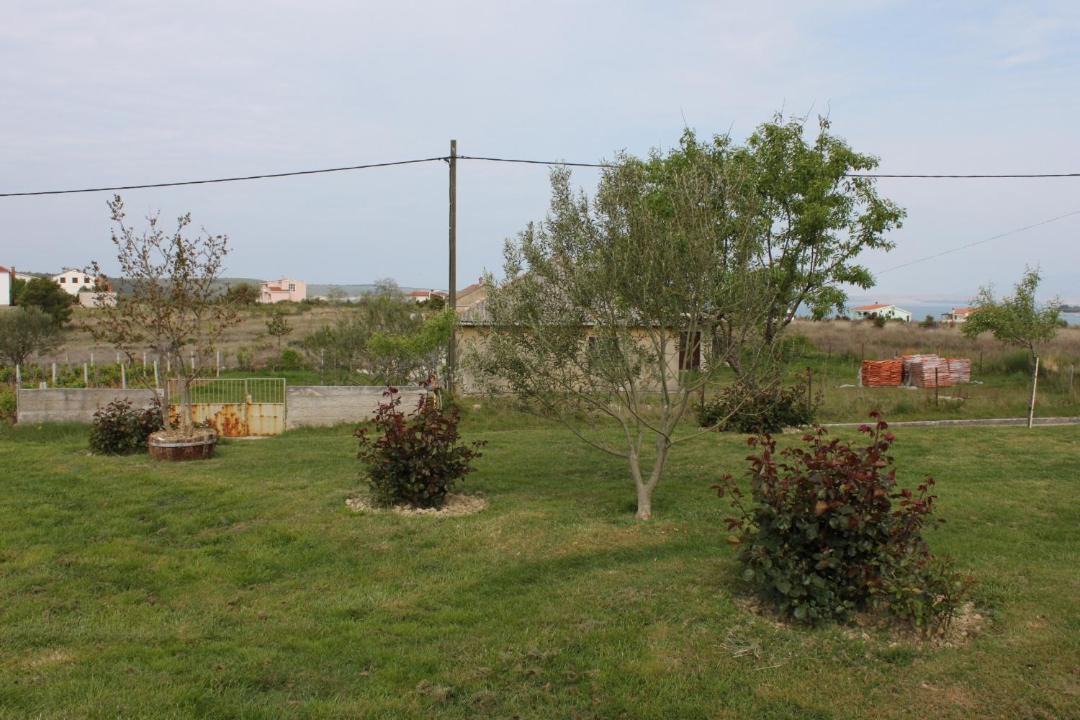 Photo of Others in Ljubac