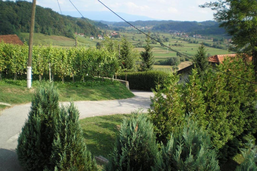 Photo of Others in Tuheljske Toplice