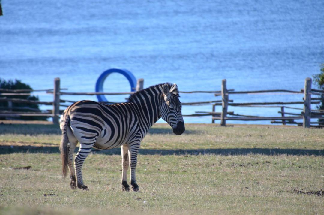 Photo of Others in Valbandon