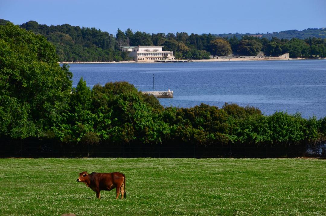 Photo of Others in Valbandon