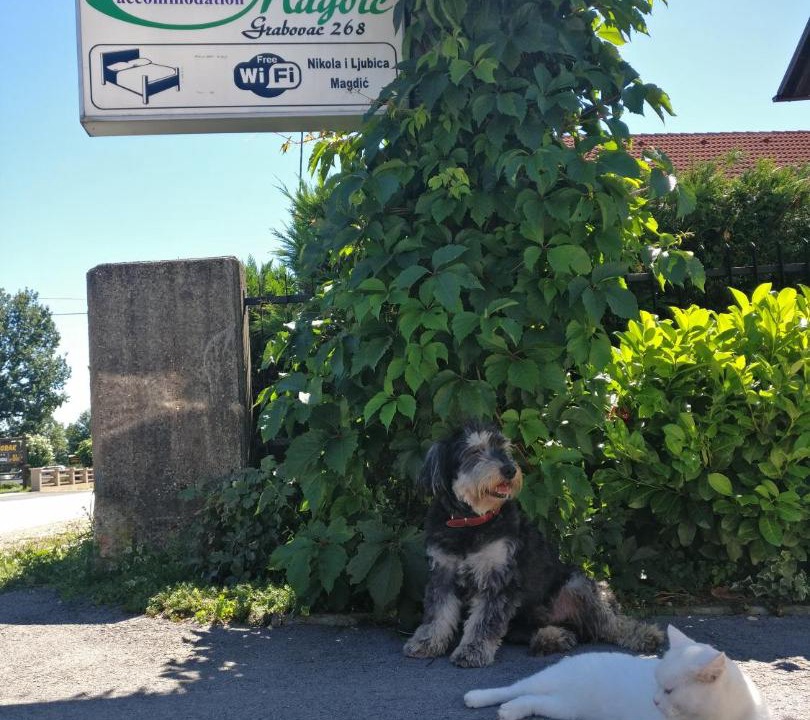 Photo of Others in Grabovac