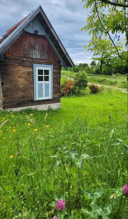 Photo of Others in Gvozd