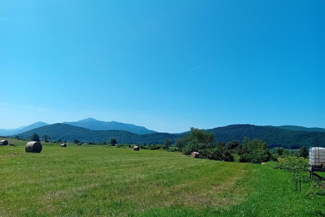 Photo of Others in Seliste