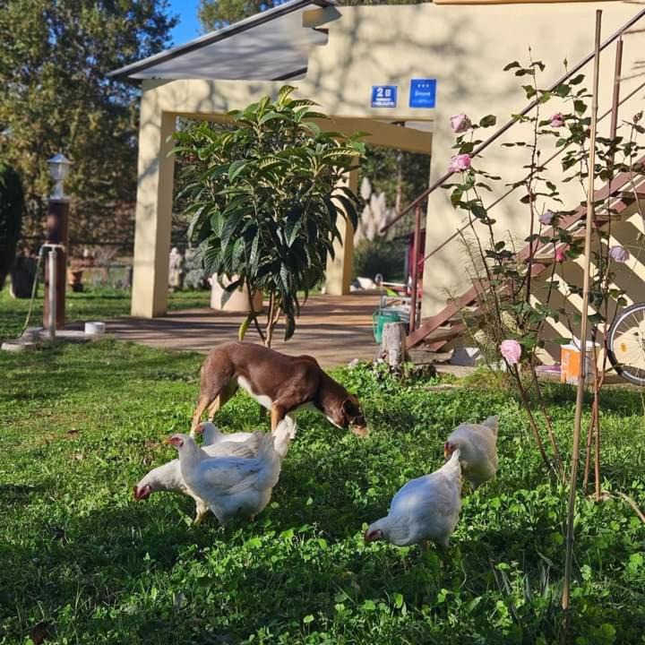 Photo of Others in Martinski