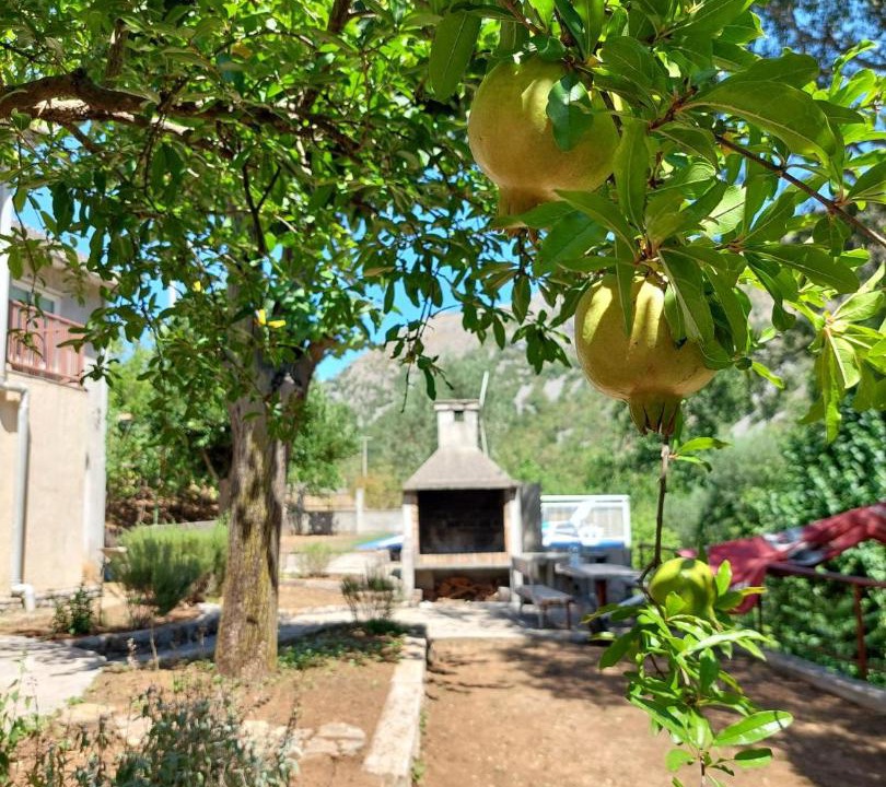Photo of Others in Slipcici