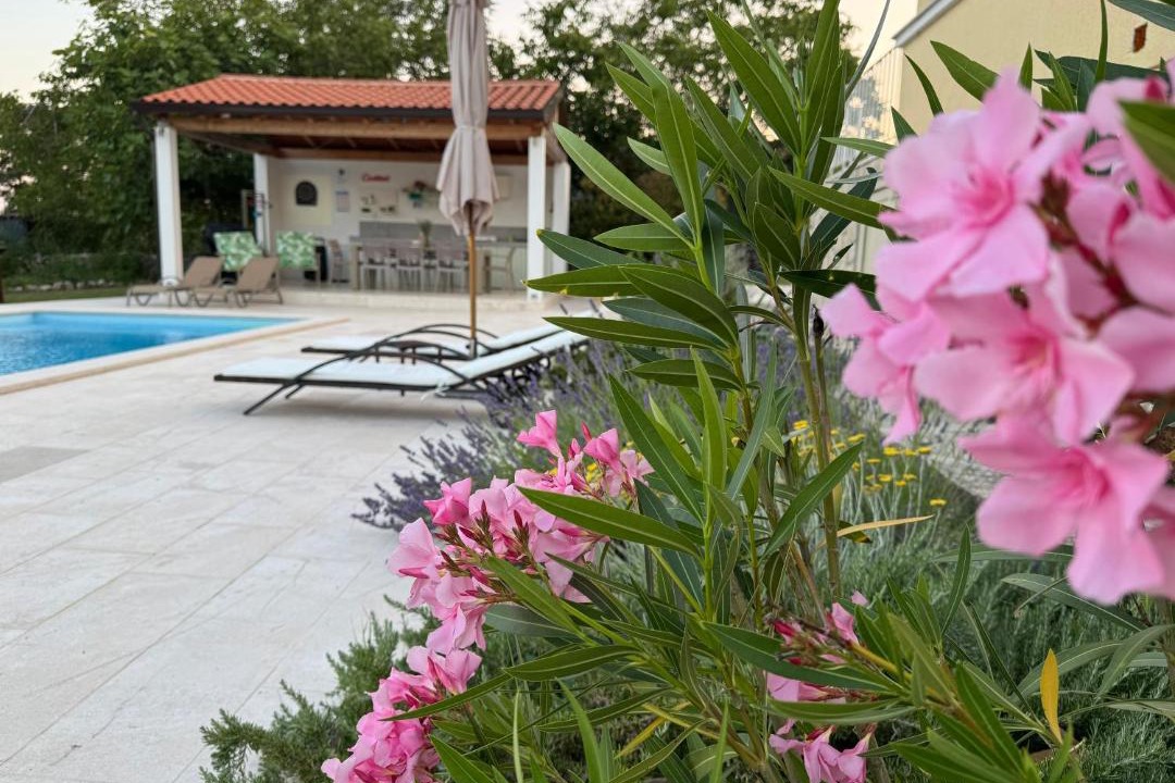 Photo of Others in Labin