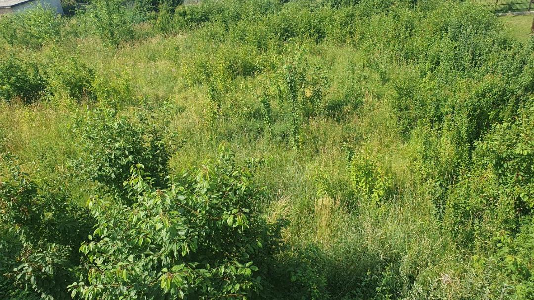 Photo of Others in Ilidza