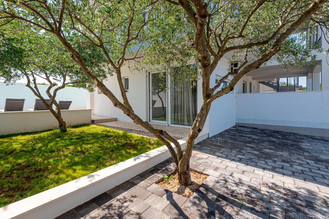 Photo of Others in Dazlina