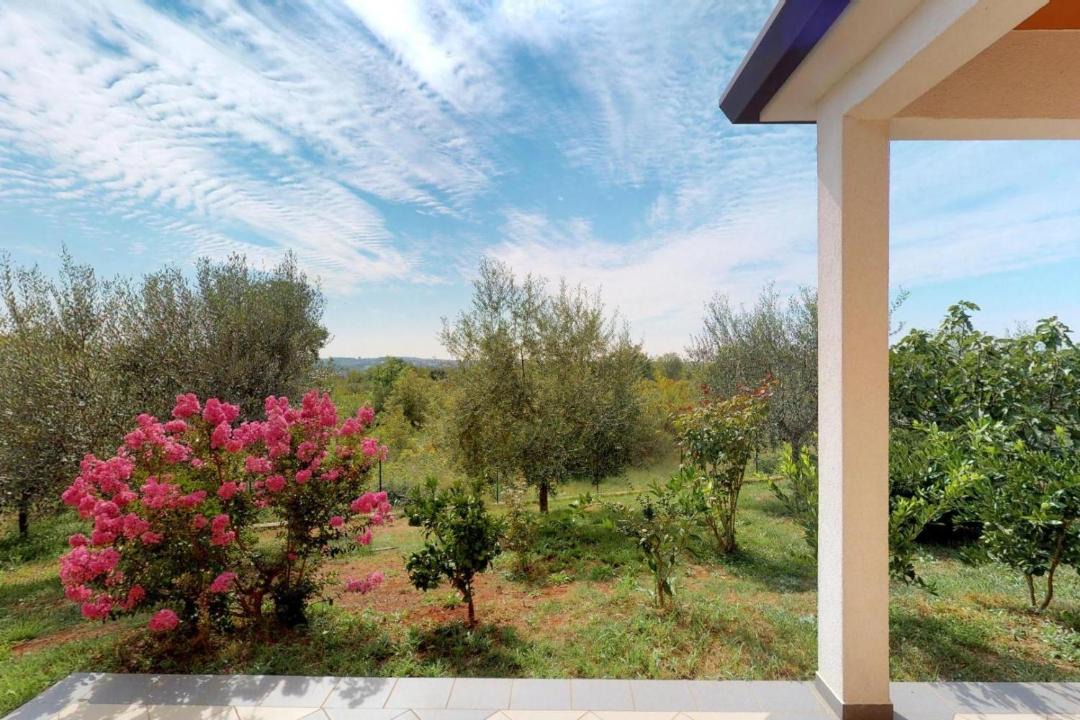 Photo of Others in Vilanija