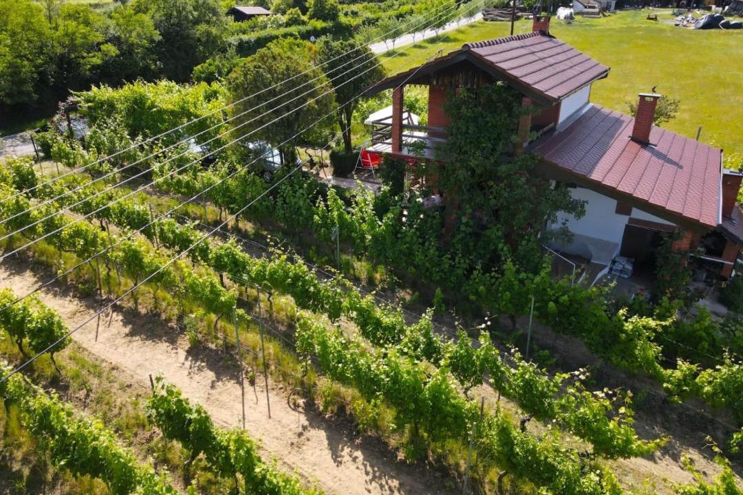 Photo of Others in Municipality of Drenje