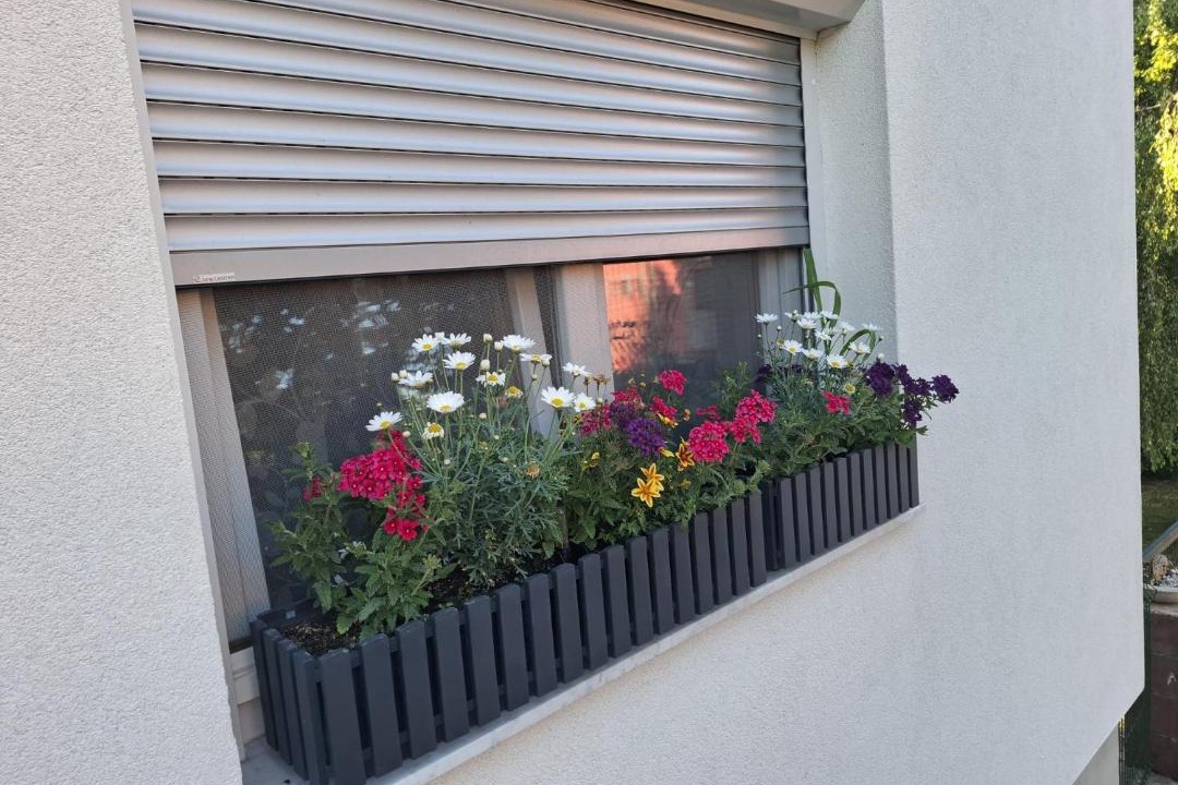 Photo of Patio Balcony in Korenica