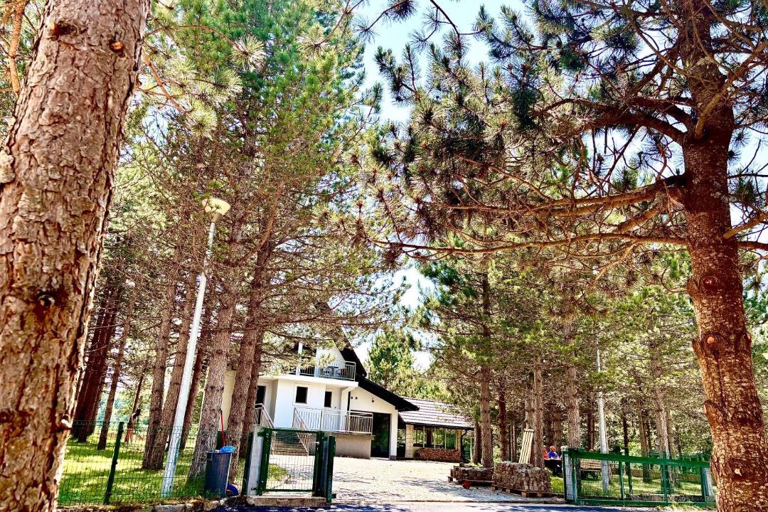 Photo of Others in Blidinje Nature Park