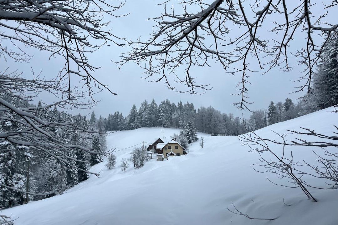 Photo of Others in Predjama