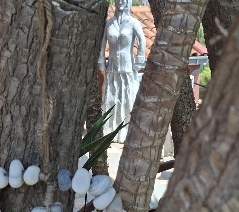 Photo of Others in Maslinica
