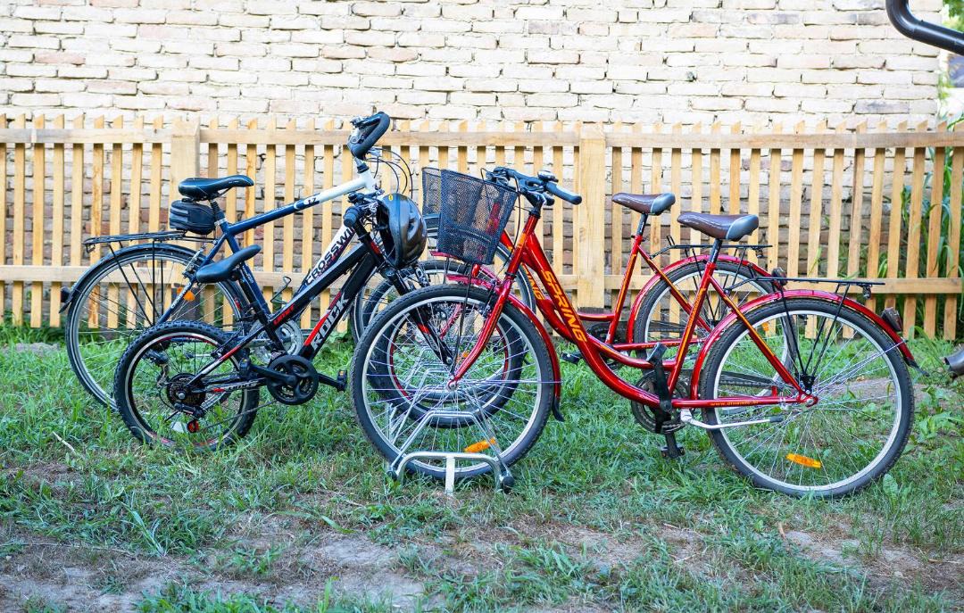 Photo of Others in Sisak