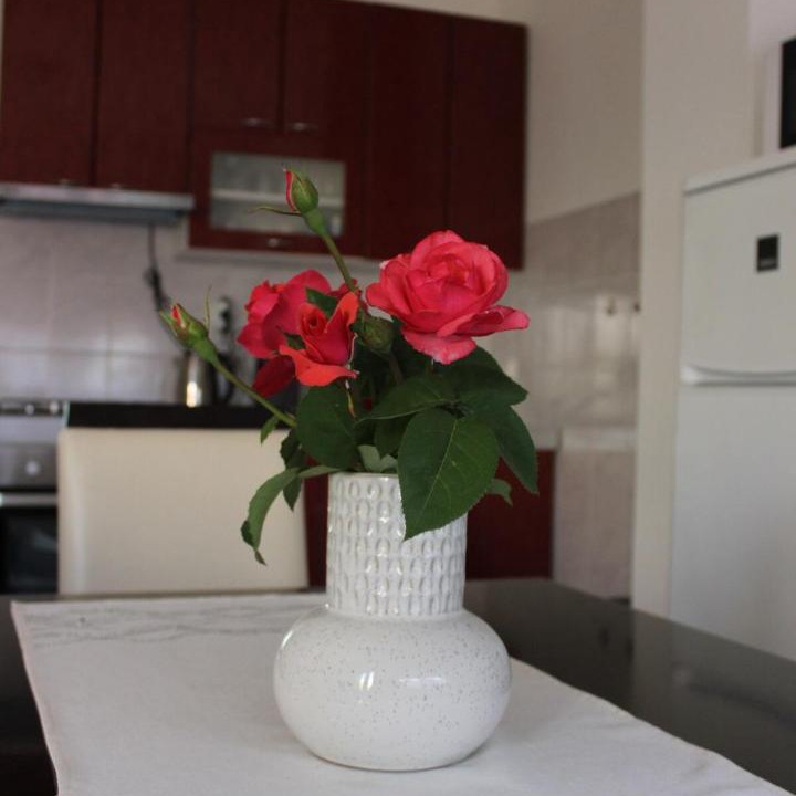 Photo of Kitchen in Otocac