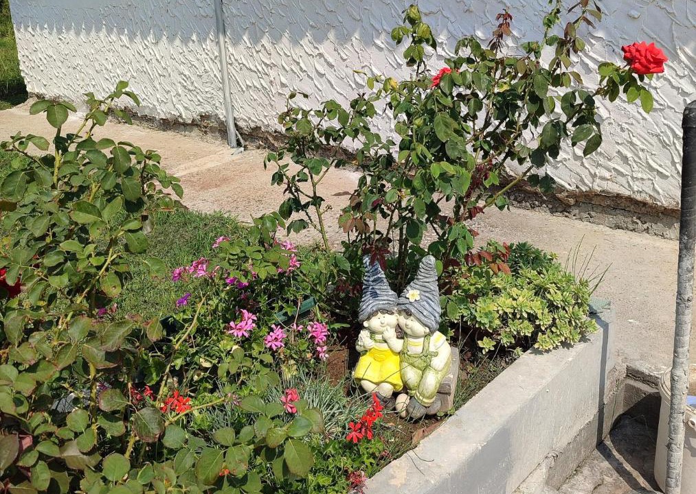 Photo of Others in Metkovic