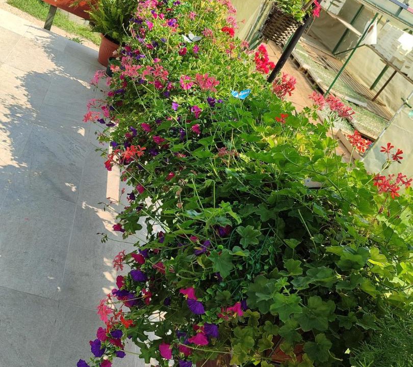Photo of Others in Metkovic
