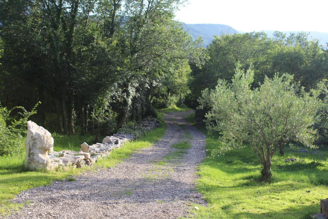 Photo of Others in Buzet