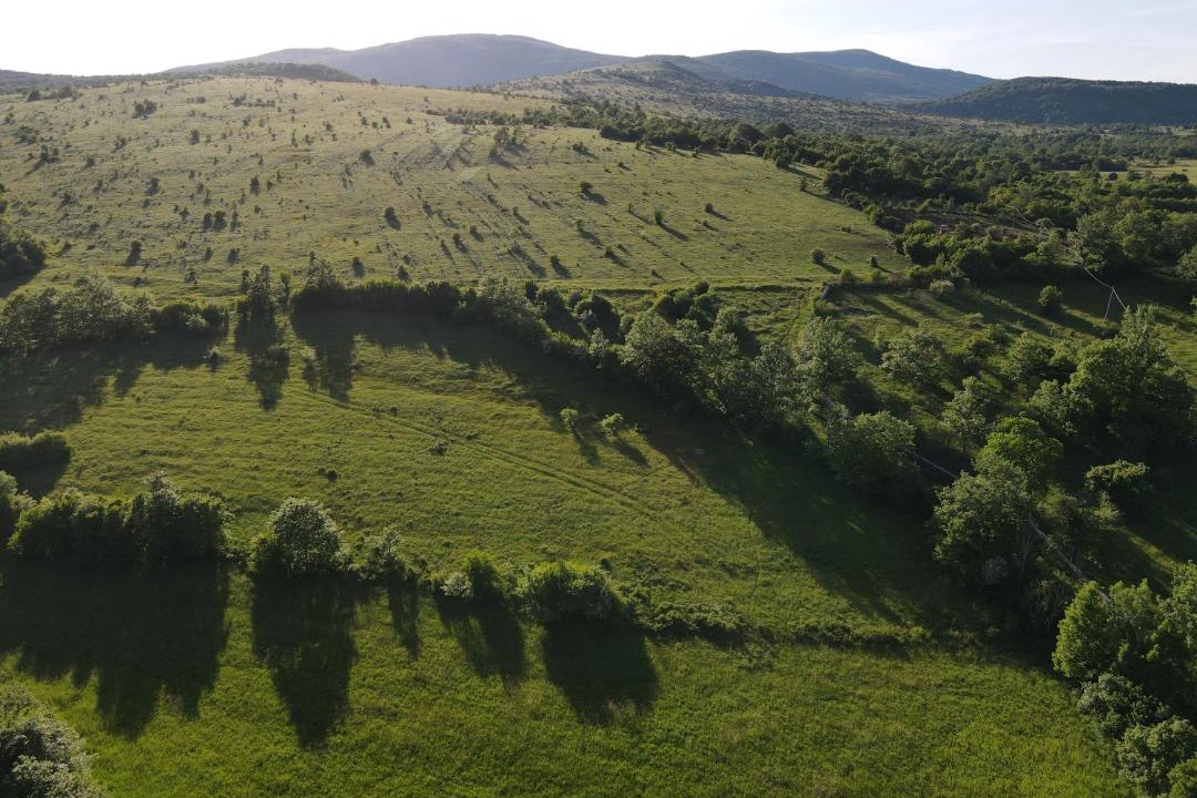 Photo of Others in Plitvicka Jezera